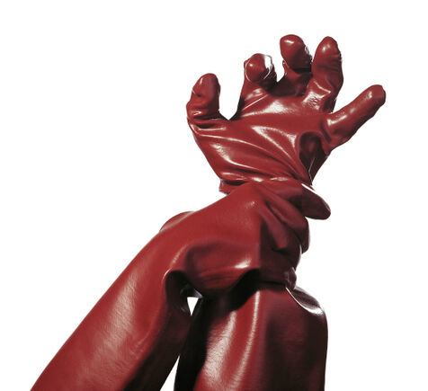 Fotos: Bernd Stegelmann